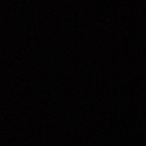 Meet your Posher, Frankie